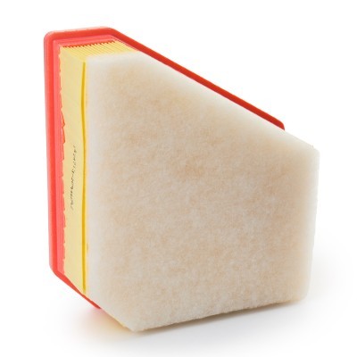 Luftfilter RIDEX 8A1763 8A1763 - foto 3
