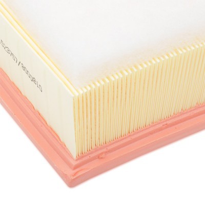 Luftfilter RIDEX 8A0050 8A0050 - foto 8