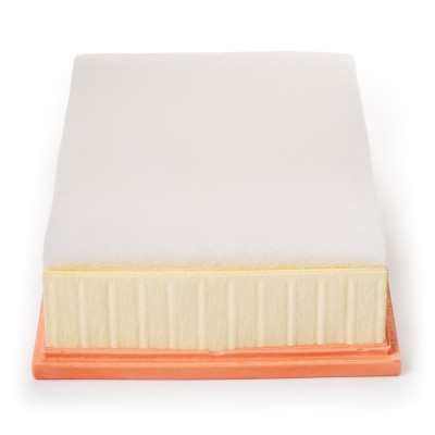 Luftfilter RIDEX 8A0329P 8A0329P - foto 5