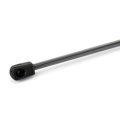 Gasfeder, Koffer-/Laderaum RIDEX 219G1552 219G1552 - foto 4