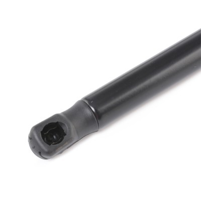 Gasfeder, Koffer-/Laderaum RIDEX 219G0178 219G0178 - foto 5