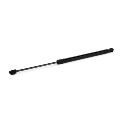 Gasfeder, Koffer-/Laderaum RIDEX 219G1019 219G1019 - foto 2