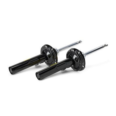Stoßdämpfer RIDEX 854S2108P 854S2108P - foto 4