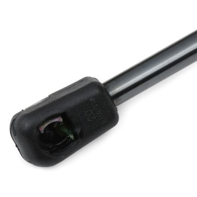 Gasfeder, Koffer-/Laderaum RIDEX 219G0310 219G0310 - foto 6