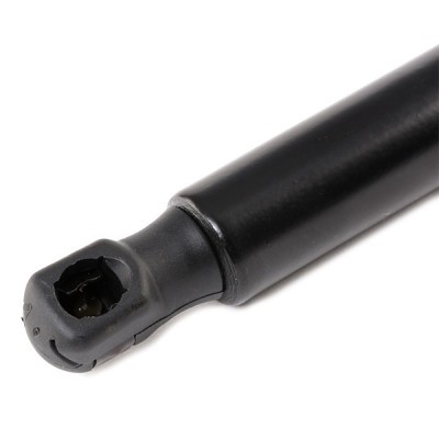 Gasfeder, Koffer-/Laderaum RIDEX 219G0619 219G0619 - foto 4