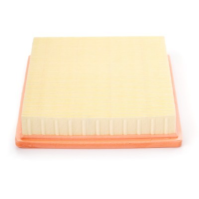 Luftfilter RIDEX 8A0269P 8A0269P - foto 5