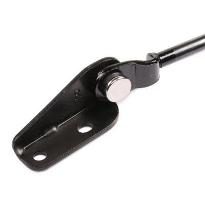 Gasfeder, Koffer-/Laderaum RIDEX 219G0559 219G0559 - foto 4