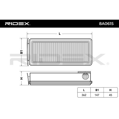 Luftfilter RIDEX 8A0615 8A0615 - foto 5