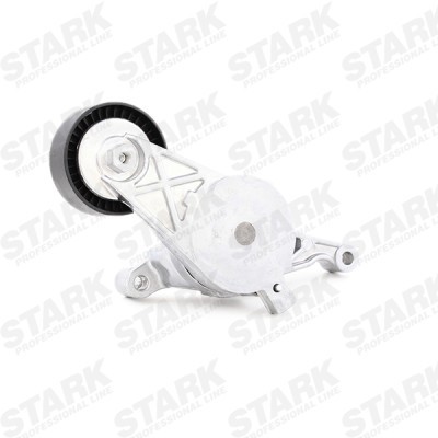 Spannarm Keilrippenriemen Stark SKTL-0610043 SKTL-0610043 - foto 6