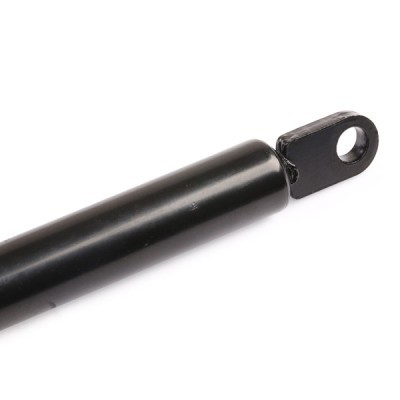 Gasfeder, Koffer-/Laderaum RIDEX 219G0089 219G0089 - foto 5