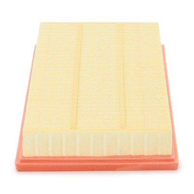 Luftfilter RIDEX 8A0073P 8A0073P - foto 4