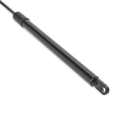Gasfeder, Koffer-/Laderaum RIDEX 219G1080 219G1080 - foto 5