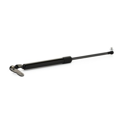 Gasfeder, Koffer-/Laderaum RIDEX 219G0579 219G0579 - foto 3