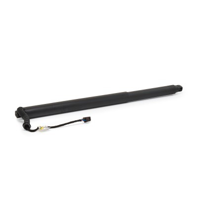 Gasfeder, Koffer-/Laderaum RIDEX 219G1707 219G1707 - foto 2