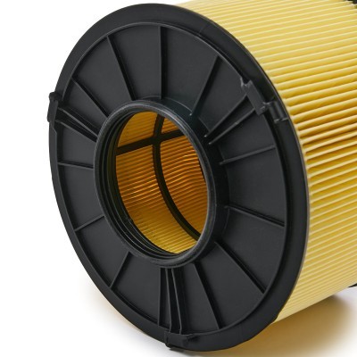 Luftfilter RIDEX 8A0860 8A0860 - foto 5