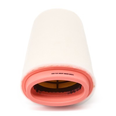 Luftfilter RIDEX 8A0010P 8A0010P - foto 4