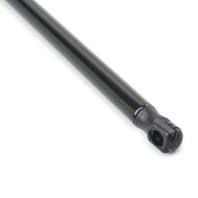 Gasfeder, Koffer-/Laderaum RIDEX 219G1105 219G1105 - foto 5