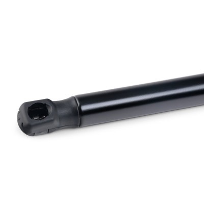 Gasfeder, Koffer-/Laderaum RIDEX 219G0702 219G0702 - foto 5