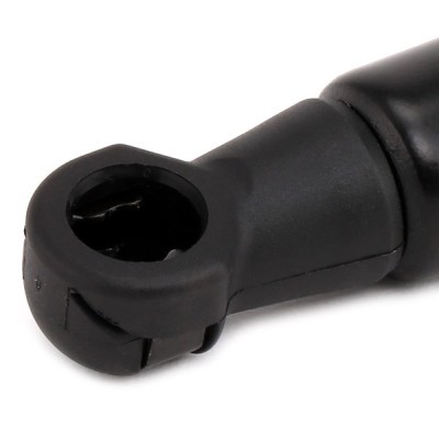 Gasfeder, Koffer-/Laderaum RIDEX 2454G0003 2454G0003 - foto 5