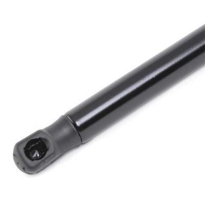 Gasfeder, Koffer-/Laderaum RIDEX 219G0895 219G0895 - foto 4