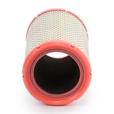 Luftfilter RIDEX 8A0090P 8A0090P - foto 6