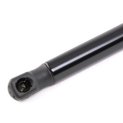 Gasfeder, Koffer-/Laderaum RIDEX 2454G0009 2454G0009 - foto 3