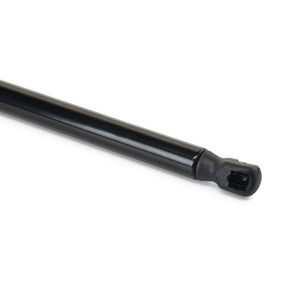 Gasfeder, Koffer-/Laderaum RIDEX 219G1084 219G1084 - foto 5