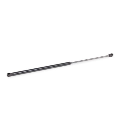 Gasfeder, Koffer-/Laderaum RIDEX 219G0261 219G0261 - foto 4