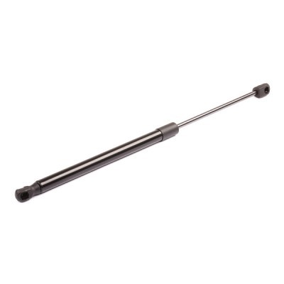Gasfeder, Koffer-/Laderaum RIDEX 219G0250 219G0250 - foto 6