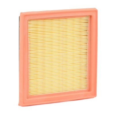 Luftfilter RIDEX 8A0049 8A0049 - foto 4