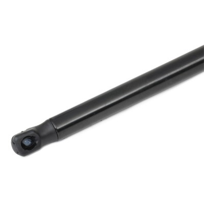 Gasfeder, Koffer-/Laderaum RIDEX 219G0734 219G0734 - foto 9