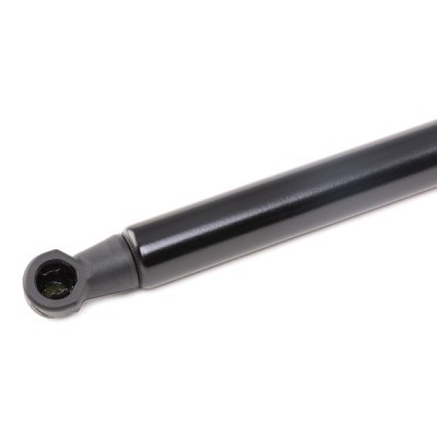 Gasfeder, Koffer-/Laderaum RIDEX 219G0822 219G0822 - foto 4