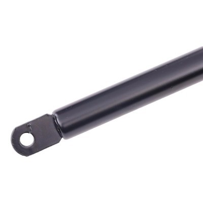 Gasfeder, Koffer-/Laderaum RIDEX 219G0465 219G0465 - foto 4
