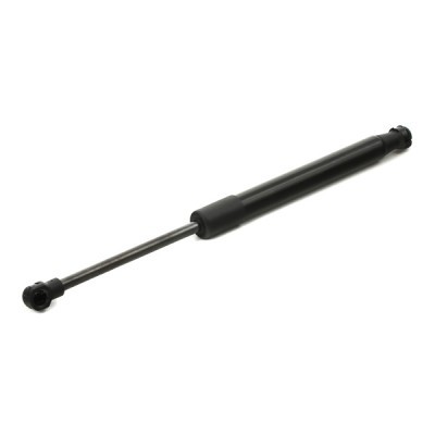 Gasfeder, Koffer-/Laderaum RIDEX 2454G0008 2454G0008 - foto 3