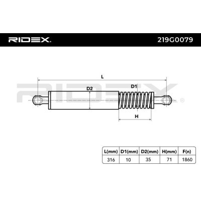 Gasfeder, Koffer-/Laderaum RIDEX 219G0079 219G0079 - foto 6