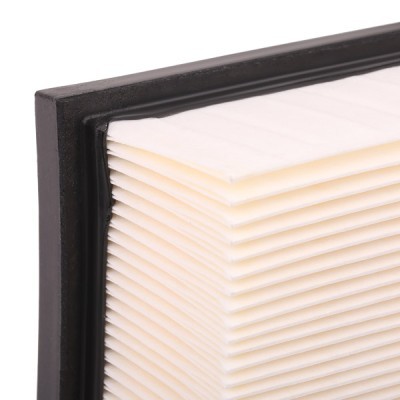 Luftfilter RIDEX 8A0357 8A0357 - foto 6