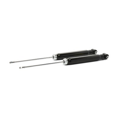 Stoßdämpfer RIDEX 854S19321P 854S19321P - foto 3
