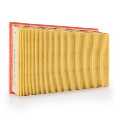Luftfilter RIDEX 8A0058P 8A0058P - foto 4