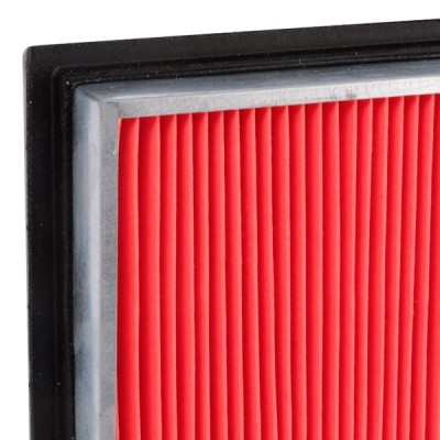 Luftfilter RIDEX 8A0129 8A0129 - foto 5