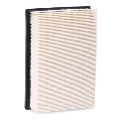 Luftfilter RIDEX 8A0350 8A0350 - foto 5