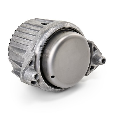 Motoraufhängung RIDEX 247E0398 247E0398 - foto 7