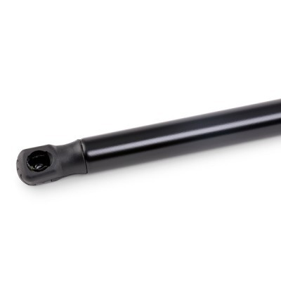 Gasfeder, Koffer-/Laderaum RIDEX 219G0261 219G0261 - foto 5