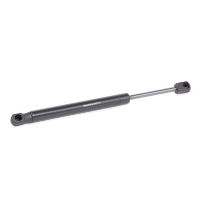 Gasfeder, Koffer-/Laderaum RIDEX 2454G0023 2454G0023 - foto 3