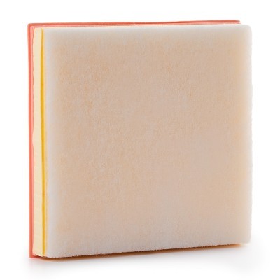 Luftfilter RIDEX 8A0171P 8A0171P - foto 5