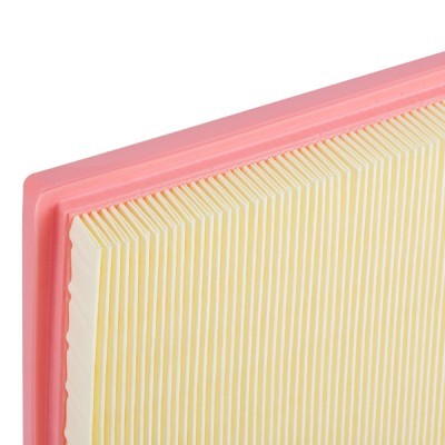 Luftfilter RIDEX 8A0647 8A0647 - foto 5