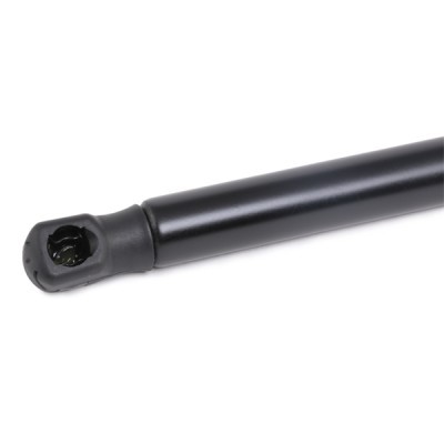 Gasfeder, Koffer-/Laderaum RIDEX 2454G0023 2454G0023 - foto 4