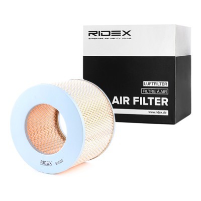Luftfilter RIDEX 8A0400 8A0400 - foto 2