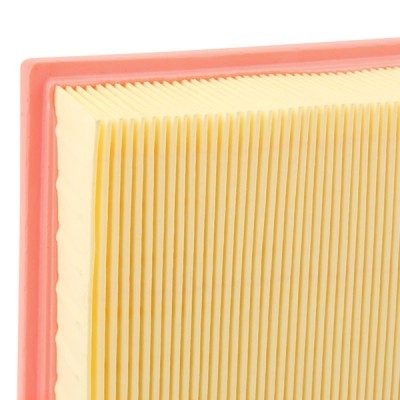 Luftfilter RIDEX 8A0666 8A0666 - foto 4