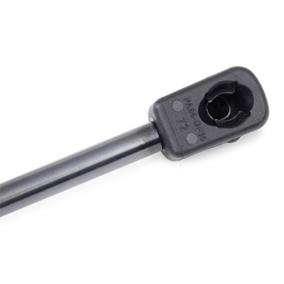 Gasfeder, Koffer-/Laderaum RIDEX 2454G0022 2454G0022 - foto 4