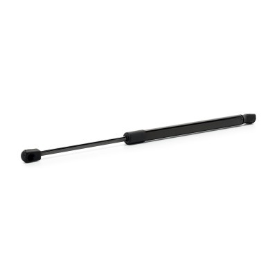 Gasfeder, Koffer-/Laderaum RIDEX 219G1234 219G1234 - foto 2